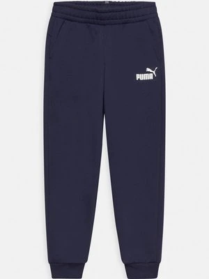 Spodnie treningowe Puma