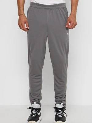 Spodnie treningowe Puma