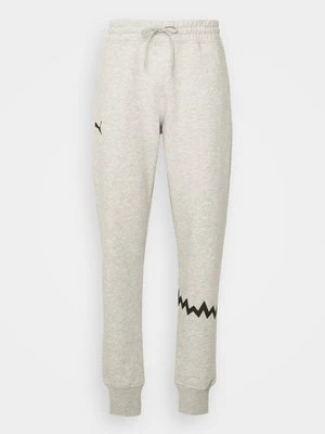 Spodnie treningowe Puma