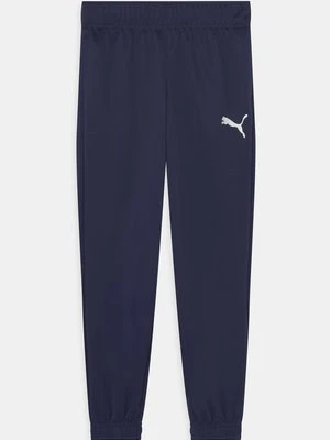 Spodnie treningowe Puma