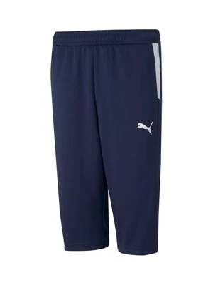Zdjęcie produktu Spodnie treningowe Puma