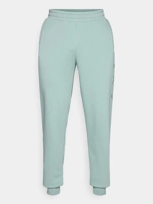 Spodnie treningowe Puma