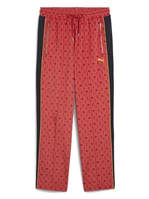 Spodnie treningowe Puma