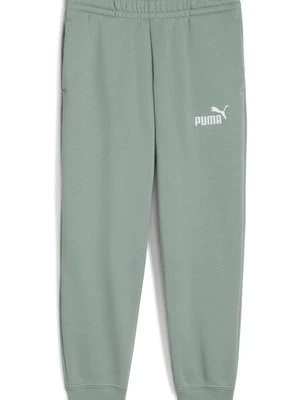 Spodnie treningowe Puma