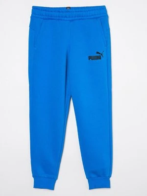 Spodnie treningowe Puma