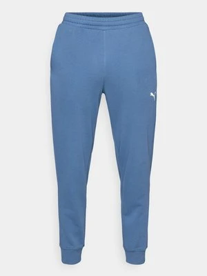 Spodnie treningowe Puma