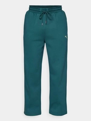 Spodnie treningowe Puma