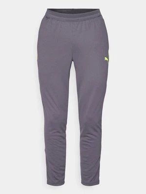 Spodnie treningowe Puma