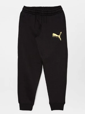 Spodnie treningowe Puma