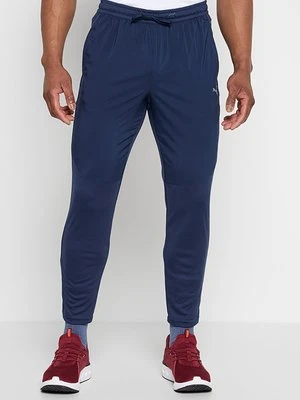 Spodnie treningowe Puma