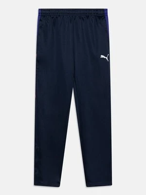Spodnie treningowe Puma