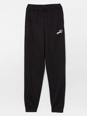 Spodnie treningowe Puma