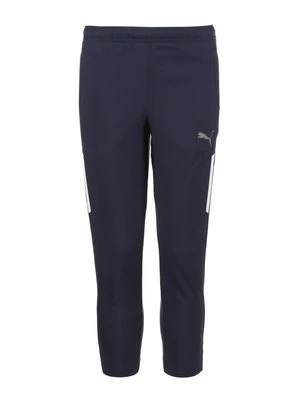 Spodnie treningowe Puma