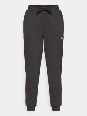 Spodnie treningowe Puma