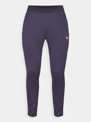 Spodnie treningowe Puma