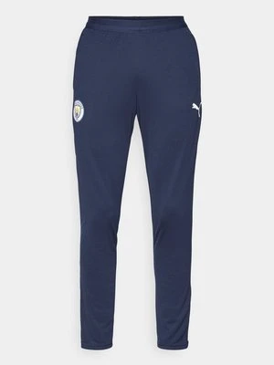 Spodnie treningowe Puma