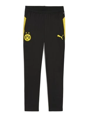 Spodnie treningowe Puma