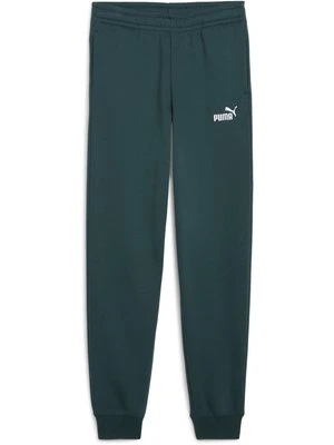Spodnie treningowe Puma