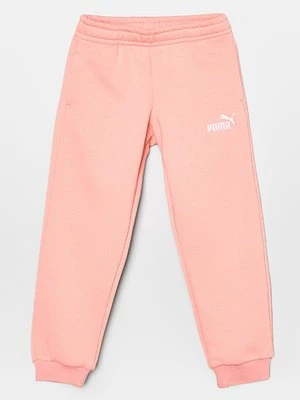 Spodnie treningowe Puma