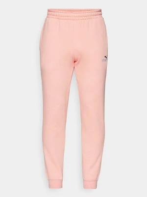 Spodnie treningowe Puma