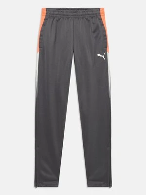 Spodnie treningowe Puma