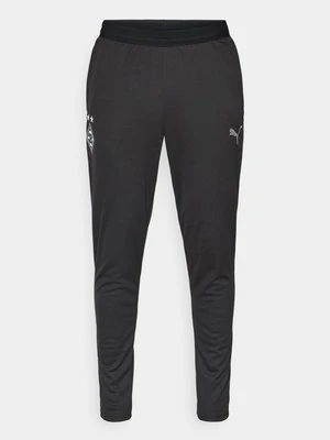 Spodnie treningowe Puma