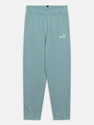 Spodnie treningowe Puma