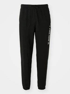 Spodnie treningowe Puma