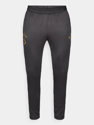 Spodnie treningowe Puma