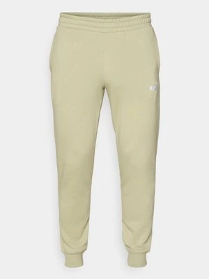 Spodnie treningowe Puma