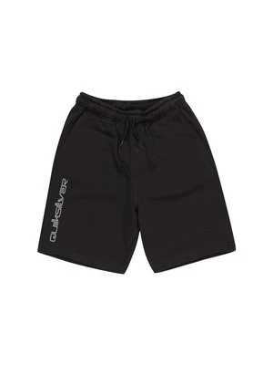 Spodnie treningowe Quiksilver