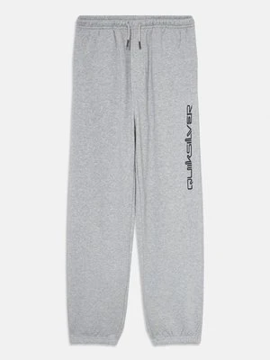 Spodnie treningowe Quiksilver