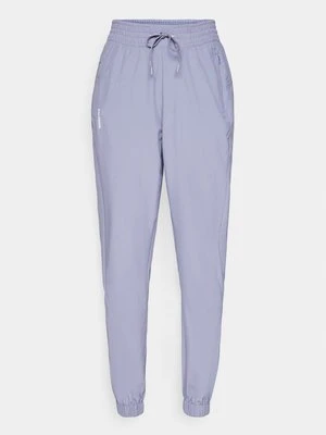 Spodnie treningowe Salomon