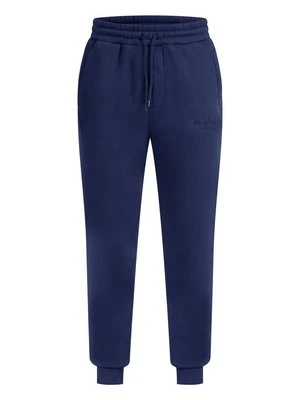 Spodnie treningowe Smilodox