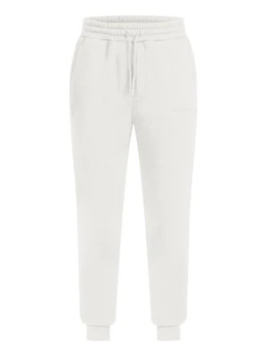 Spodnie treningowe Smilodox