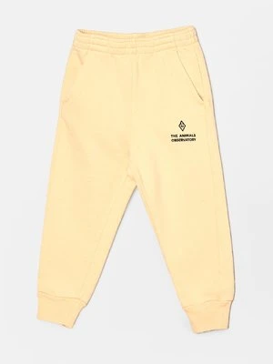 Spodnie treningowe THE ANIMALS OBSERVATORY