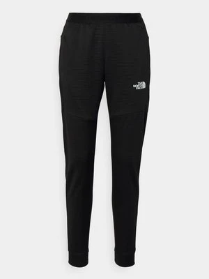 Spodnie treningowe The North Face