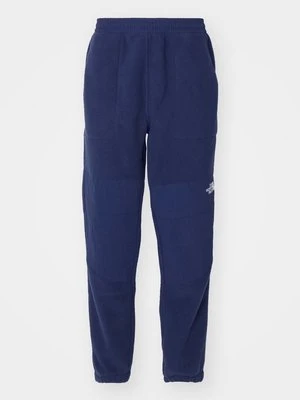 Spodnie treningowe The North Face
