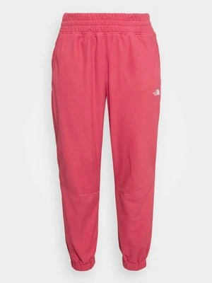 Spodnie treningowe The North Face