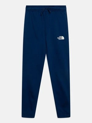 Spodnie treningowe The North Face