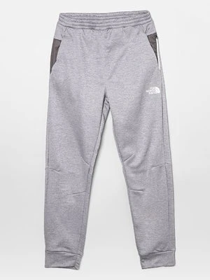 Spodnie treningowe The North Face