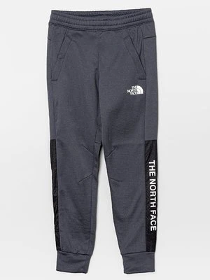 Spodnie treningowe The North Face