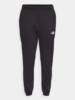 Spodnie treningowe The North Face