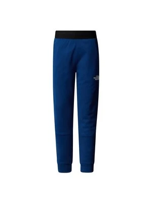 Spodnie treningowe The North Face