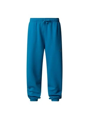 Spodnie treningowe The North Face