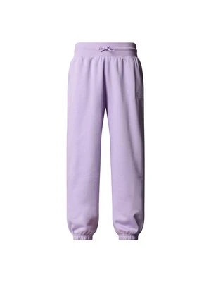 Spodnie treningowe The North Face