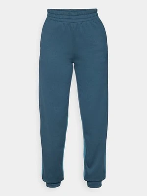 Spodnie treningowe The North Face