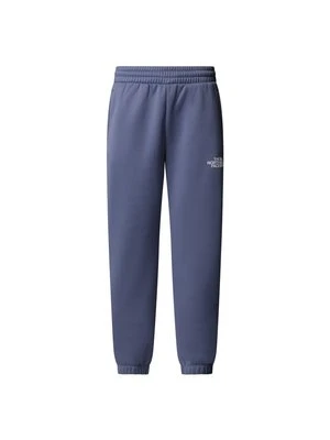 Spodnie treningowe The North Face