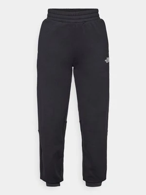 Spodnie treningowe The North Face