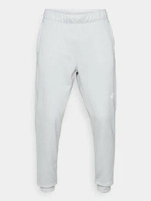 Spodnie treningowe The North Face szary